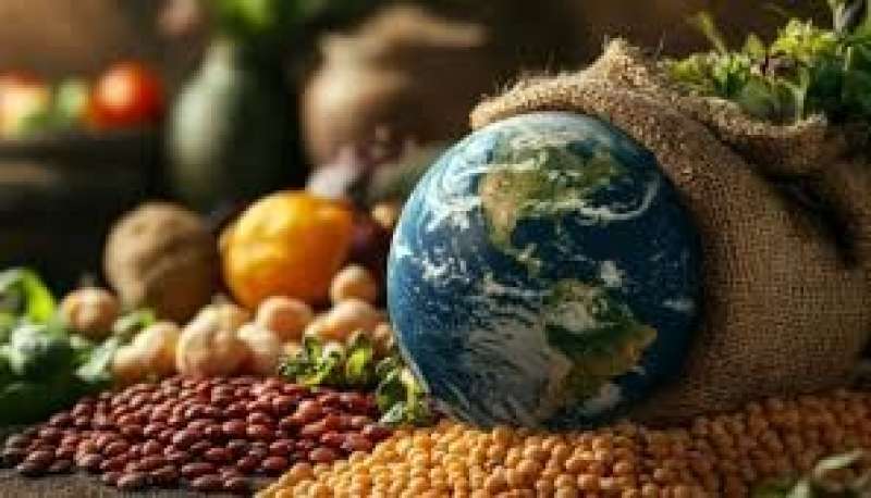 شذرات | الأمن الغذائي العالمي: التحديات والحلول في عالم متغير