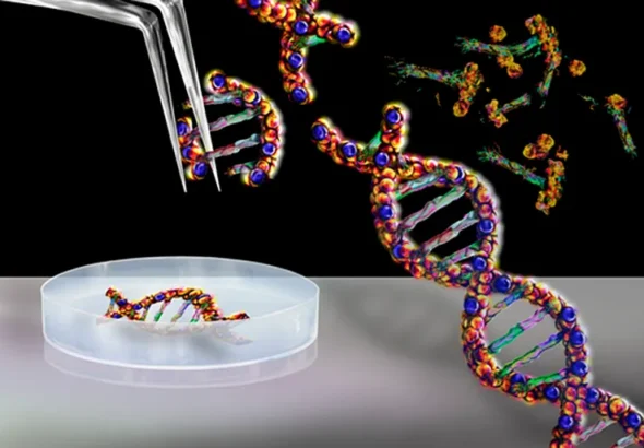 شذرات|مراجعة كتاب: معمارية البيانات البيولوجية (Biological Data Architectures)
